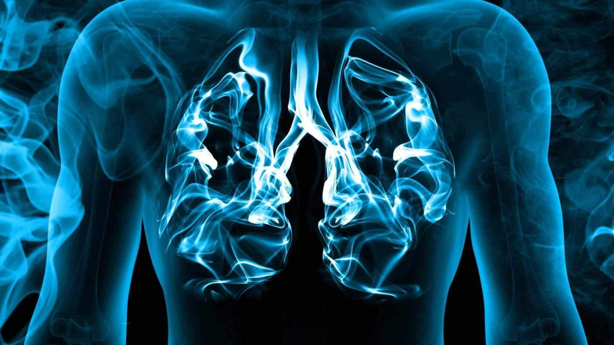 breeze vape side effects Foger and Vozol: Leading the Next Era of Smart Disposable Vapes